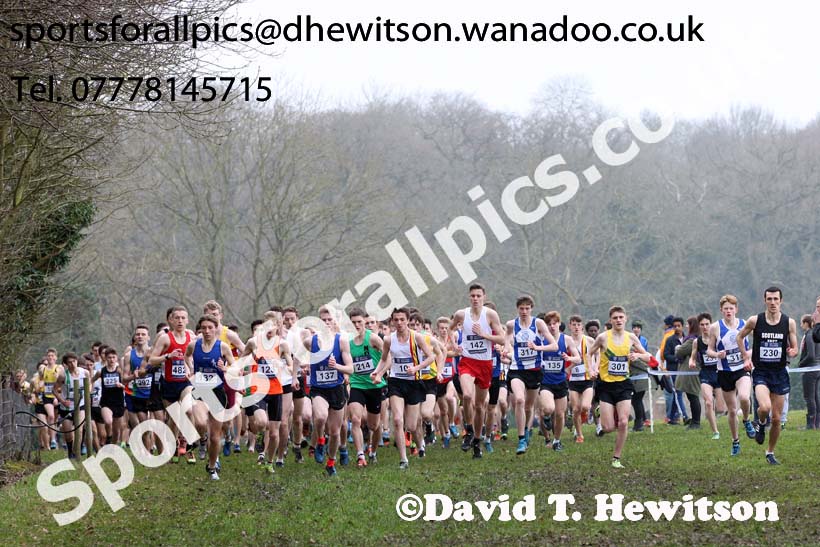 Mens under-20s Inter Counties Cross Country, Prestwold Hall, Loughborough. Photo: David T. Hewitson/Sports for All Pics